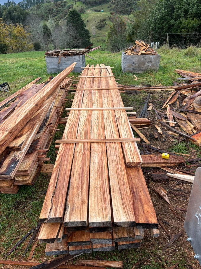 Freshly milled Tasmanian Blackwood timber grain with fiddleback figure