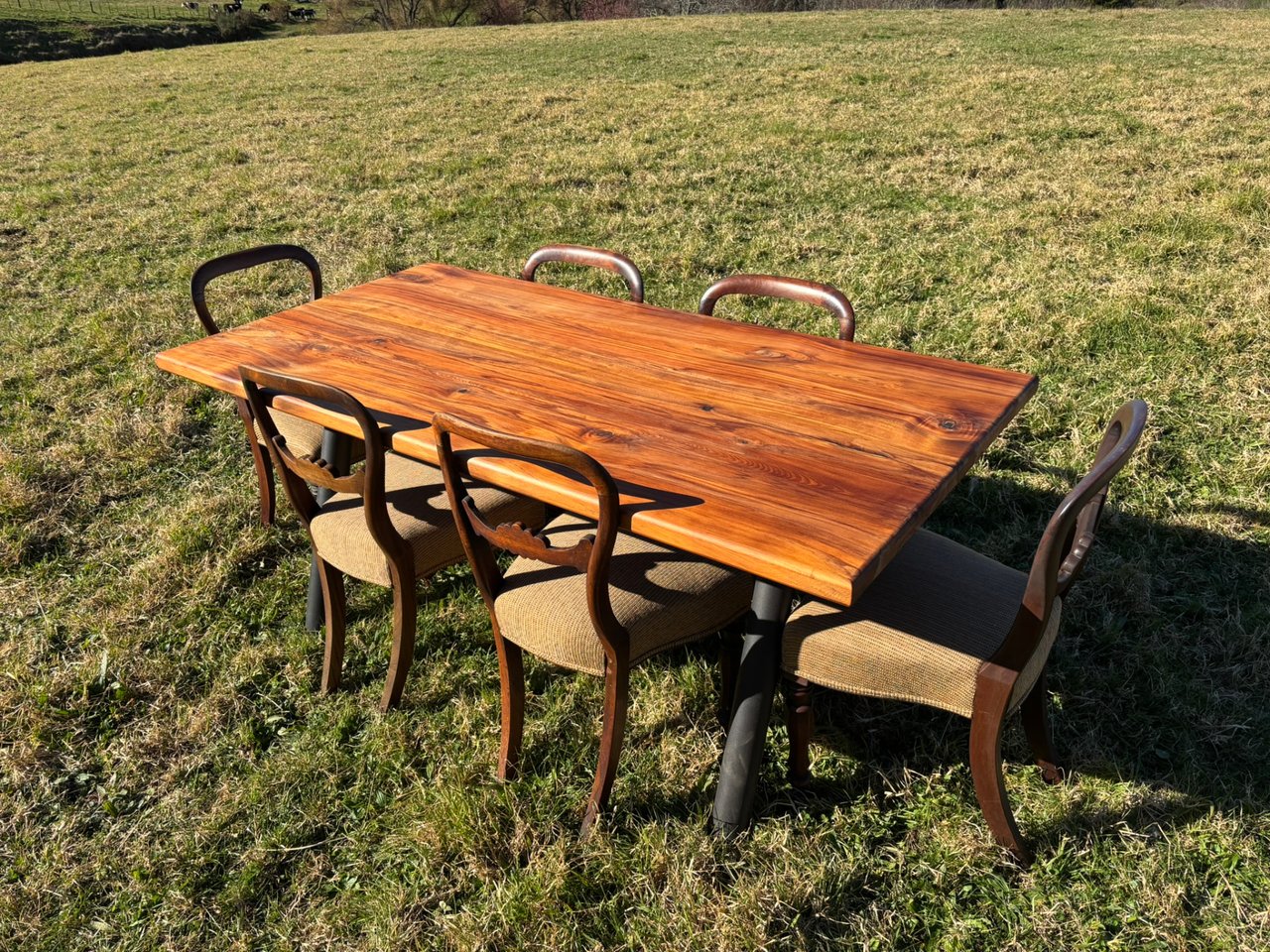 Solid timber dining table with balloon-back chairs in an open paddock