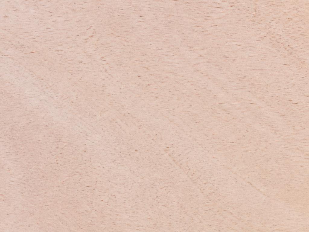 Close-up grain and pale colour of Macadamia timber
