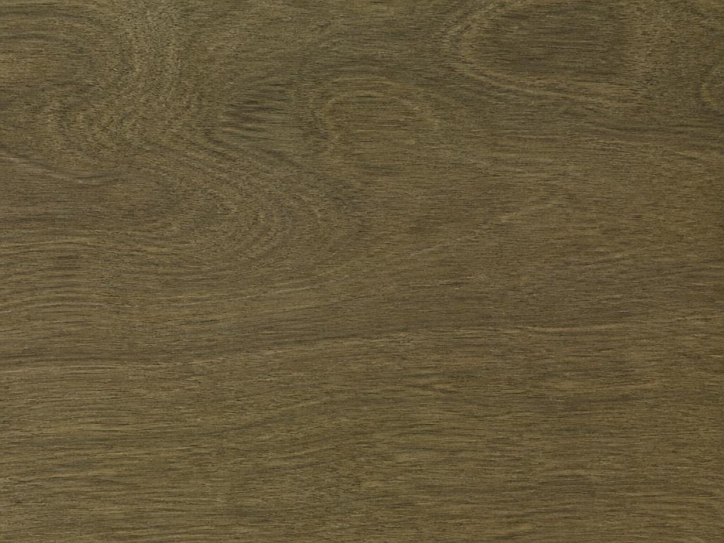 Close-up grain and olive colour of New Zealand Pūriri timber
